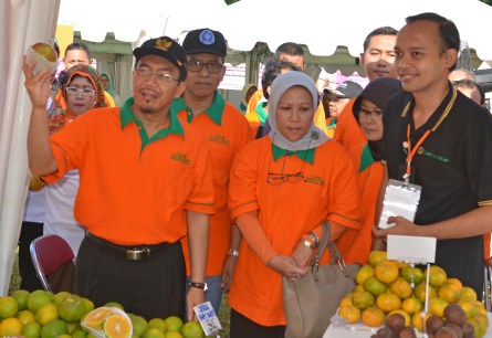 Indonesia, Strategis untuk Pengembangan Buah Lokal